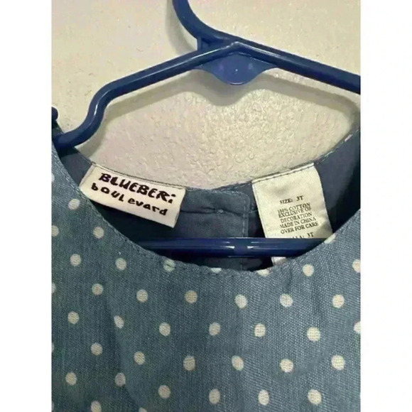 Blueberry boulevard baby girl Embroydery Sleeveless dress size‎ 3T - Picture 3 of 6